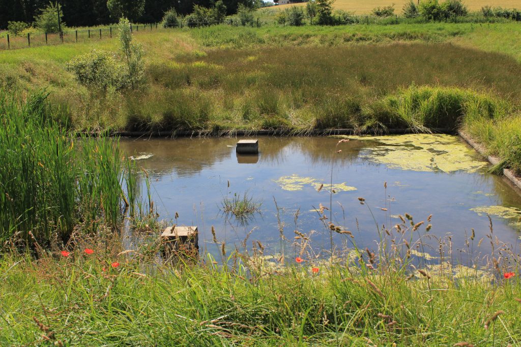 Bassin bétonné