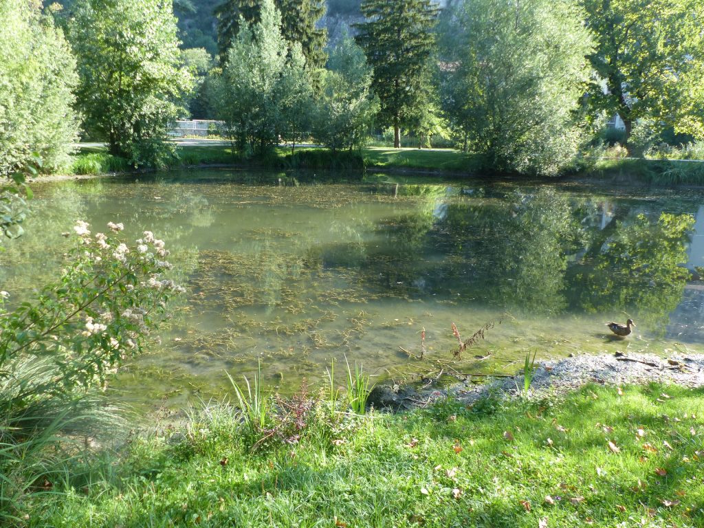 Mare de parc urbain